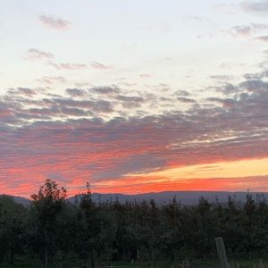 Meet your Posher, Danny